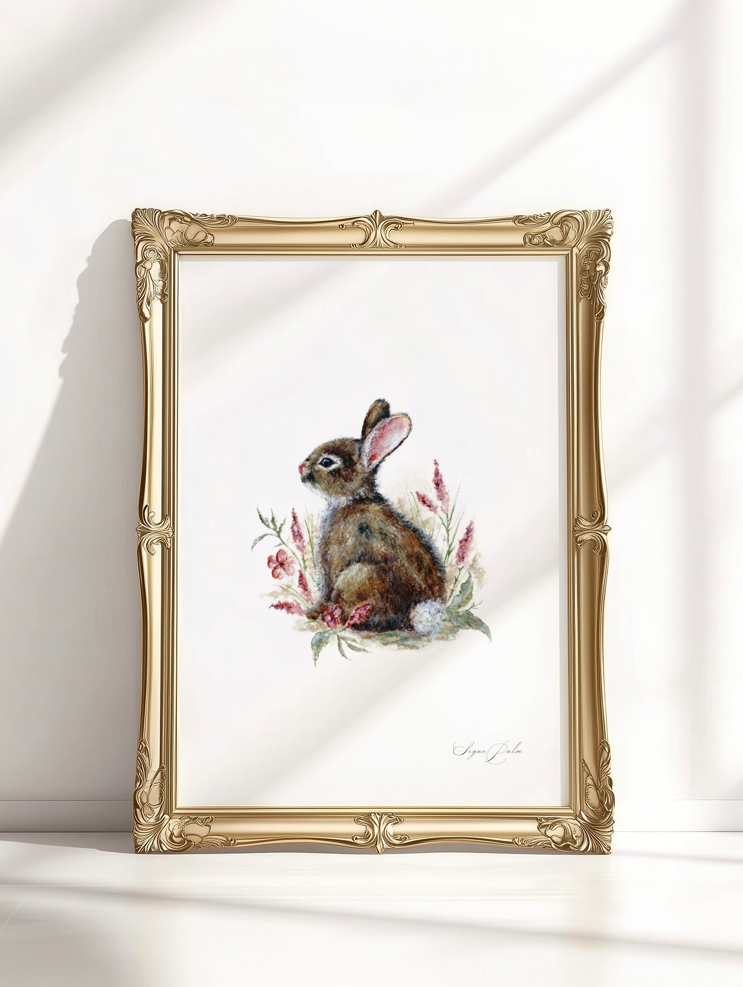 Belle - A flower´s Dream