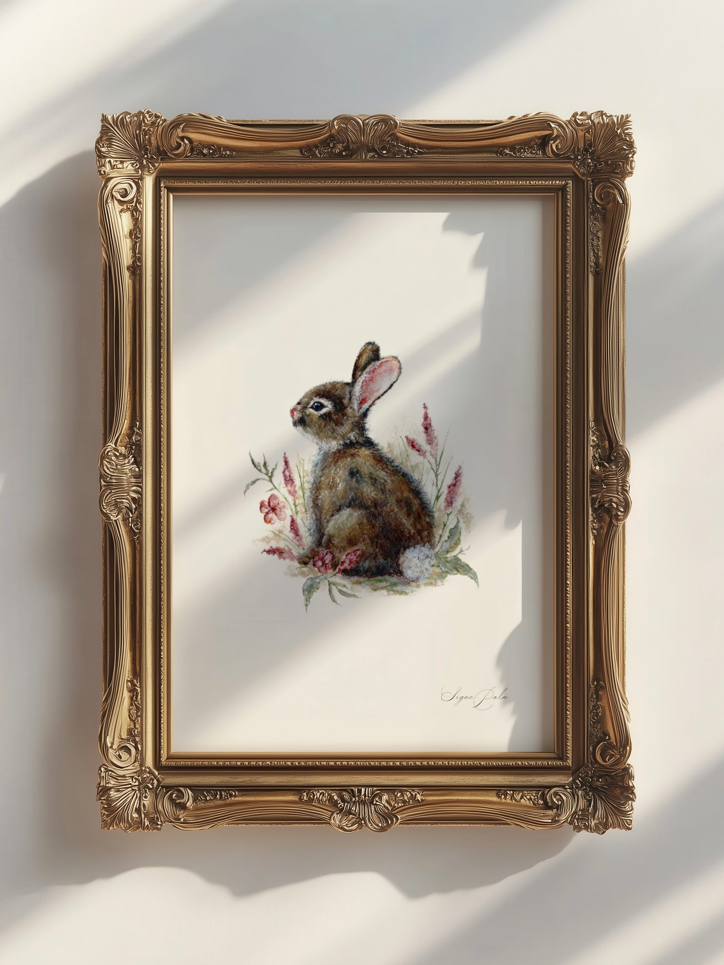 Belle - A flower´s Dream