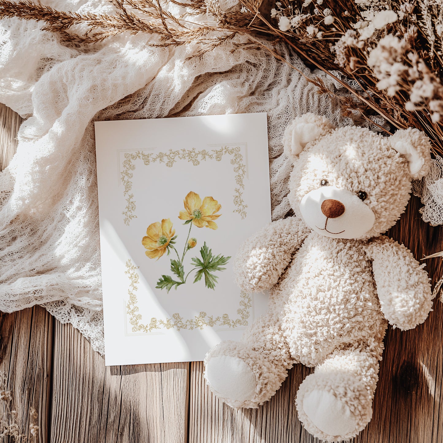 Anemone flower - Forest hymn