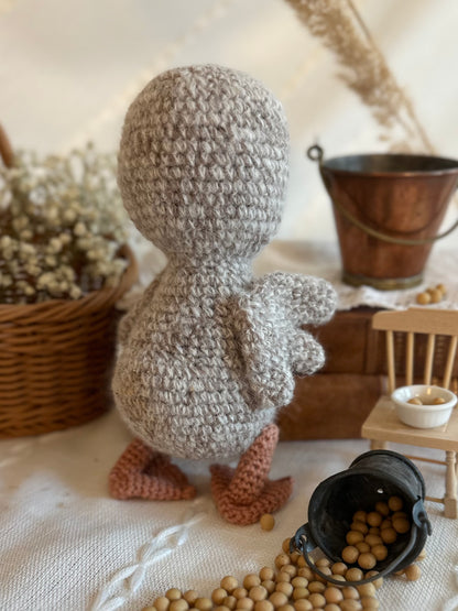 Baby duckling Brianna